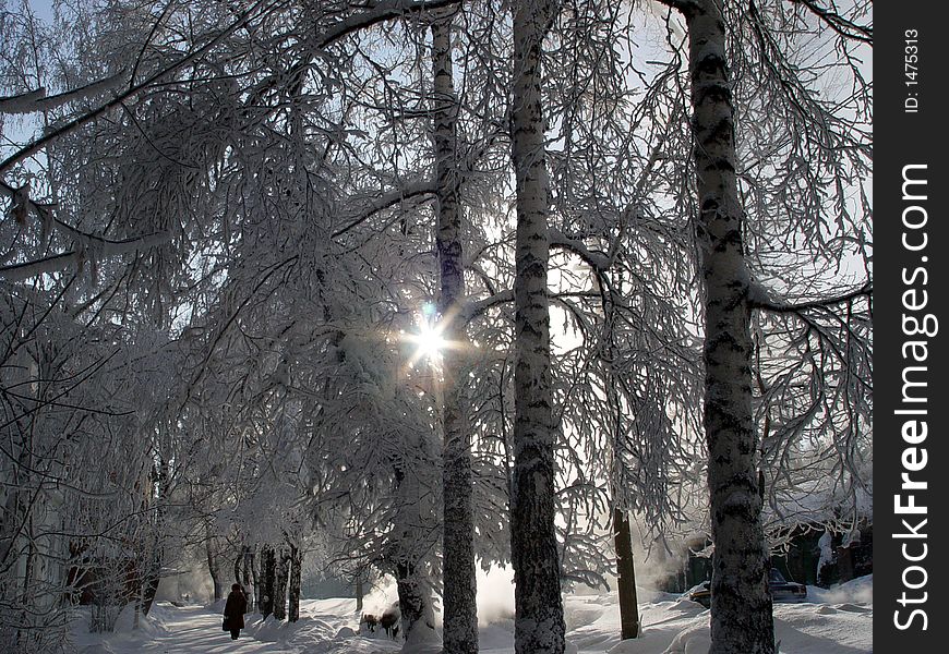 Tomsk city winter snow cold