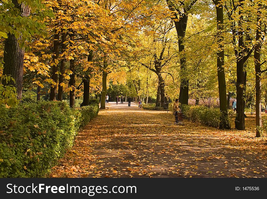 Poland.Warsaw Lazienki Royal park.Autumn,October. Poland.Warsaw Lazienki Royal park.Autumn,October.