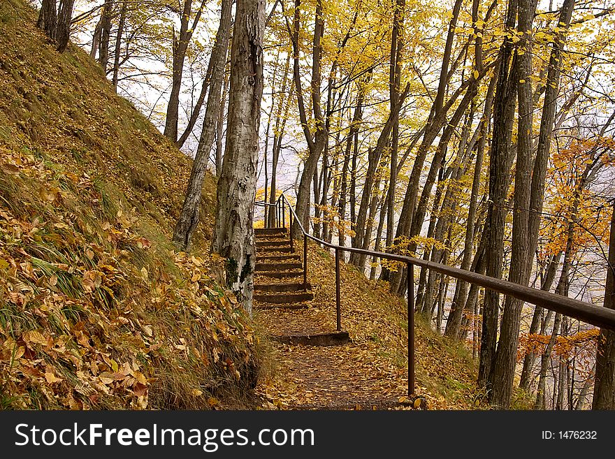 Single path with stairs in the forest in autumn season. Single path with stairs in the forest in autumn season