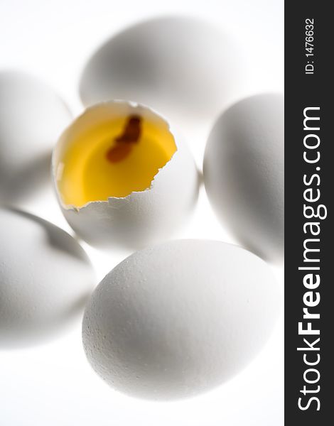 Egg Concept