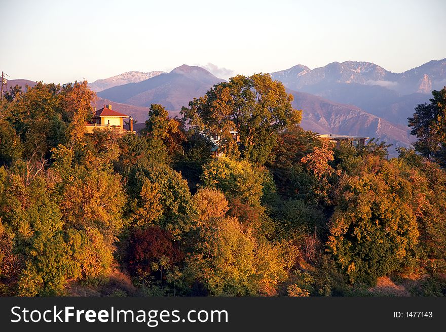 Autumn leaves - beautiful indian summer in utah, USA