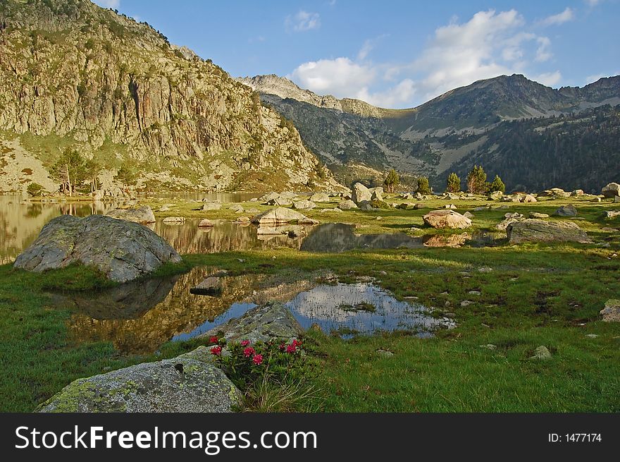 Mountain landscape with summit reflection in lake and water, grass, rocks and flower. Mountain landscape with summit reflection in lake and water, grass, rocks and flower.