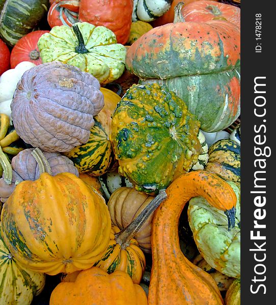 Autumn Pumpkins