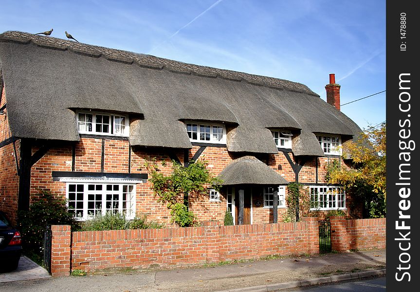 Thatched Village House