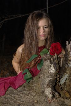 Girl With Rose Stock Photo