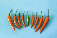 Red And Green Hot Chili Peppers Royalty Free Stock Image Red And Green Hot Chili Peppers Royalty Free Stock Image