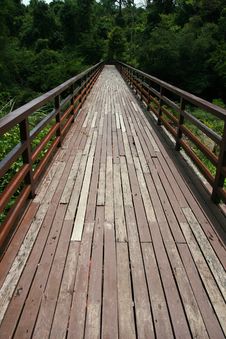 Wooden Plank Board Walk Stock Photos Wooden Plank Board Walk Stock Photos