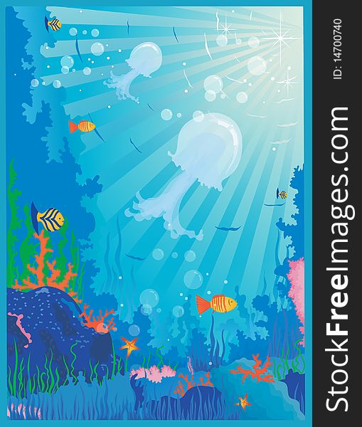 The underwater world of fish and plants. The underwater world of fish and plants