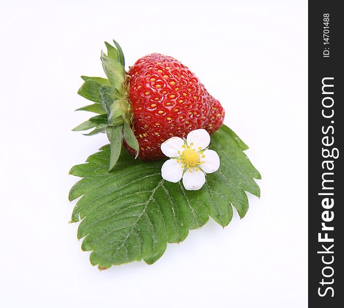 Strawberry on a leaf with a flower on white background