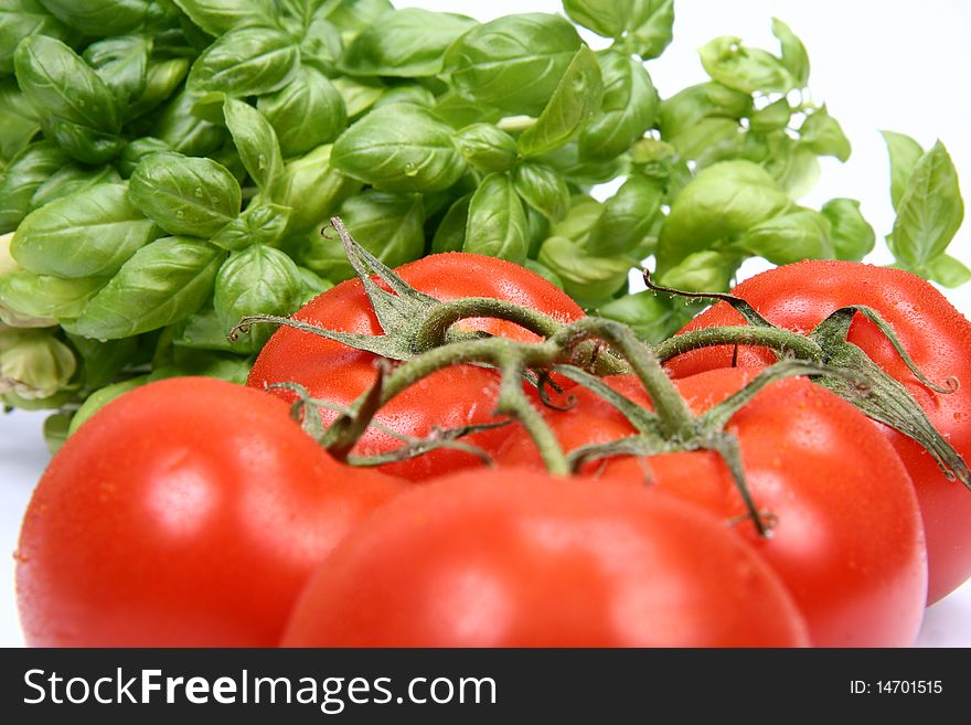 Bunch of tomatoes with basil on white background. Bunch of tomatoes with basil on white background