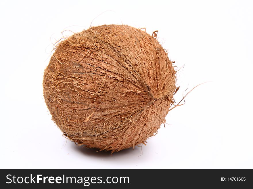 A Coconut on white background