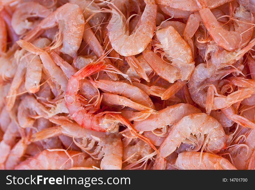 Close up of many shrimp. Close up of many shrimp