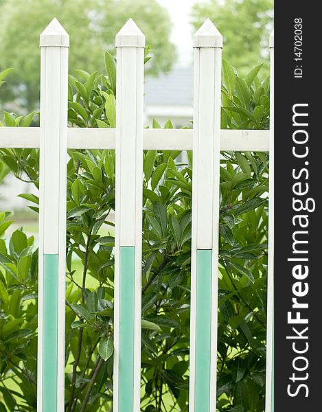 The picket fencing in a garden. The picket fencing in a garden