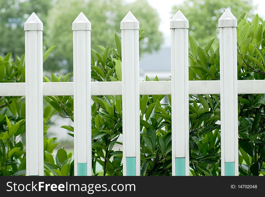 The picket fencing in a garden. The picket fencing in a garden