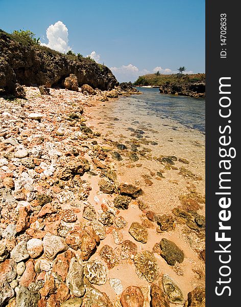 Shoreline of a Rocky Beach