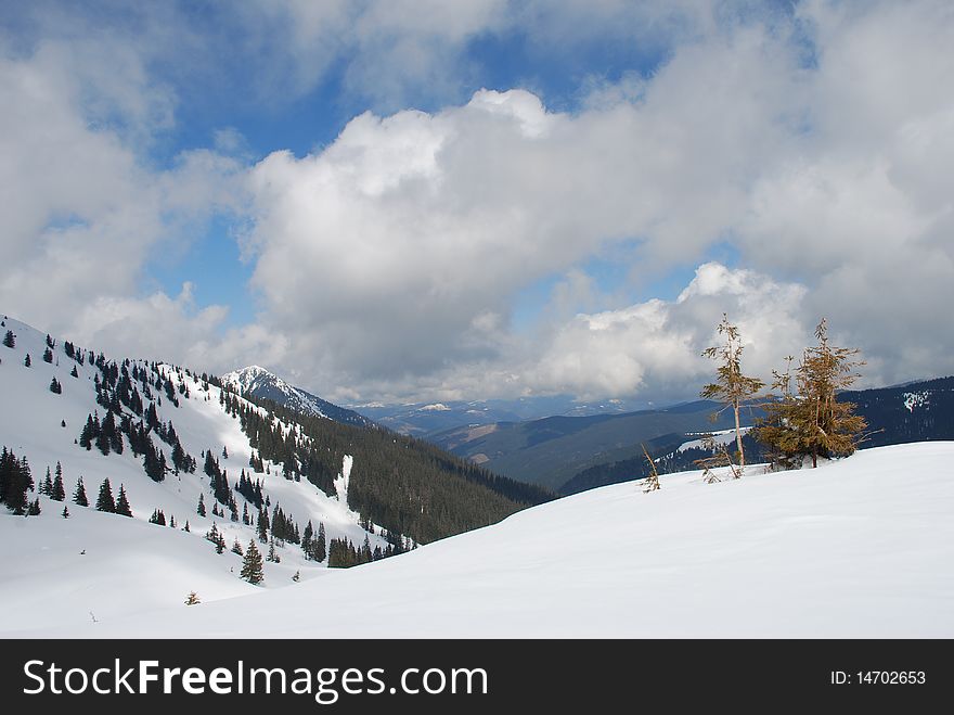 White mountain tops under clouds in a winter landscape with fur-trees. White mountain tops under clouds in a winter landscape with fur-trees.