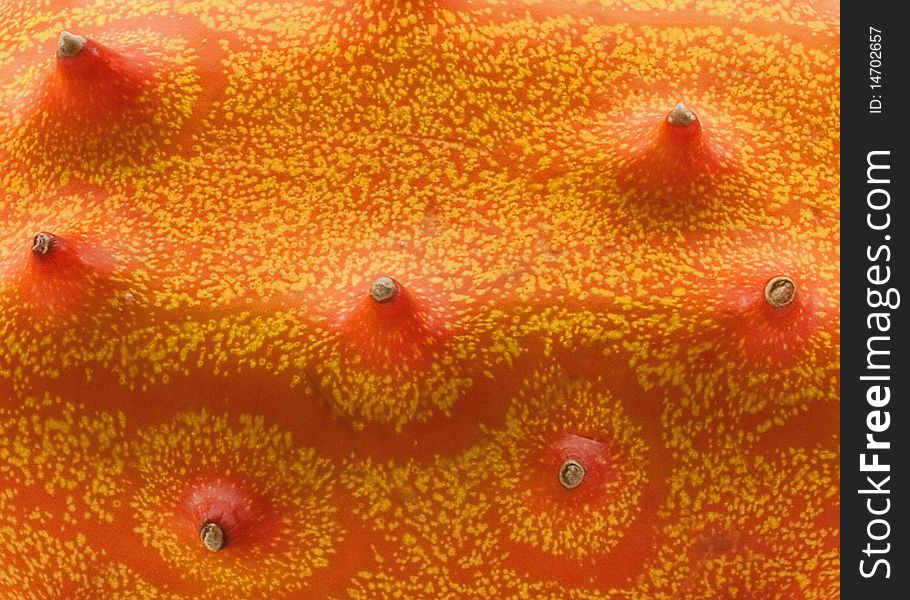 Close up of skin of horned melon, also known as Blowfish Fruit, looking like dormant volcanoes on orange landscape. Close up of skin of horned melon, also known as Blowfish Fruit, looking like dormant volcanoes on orange landscape.