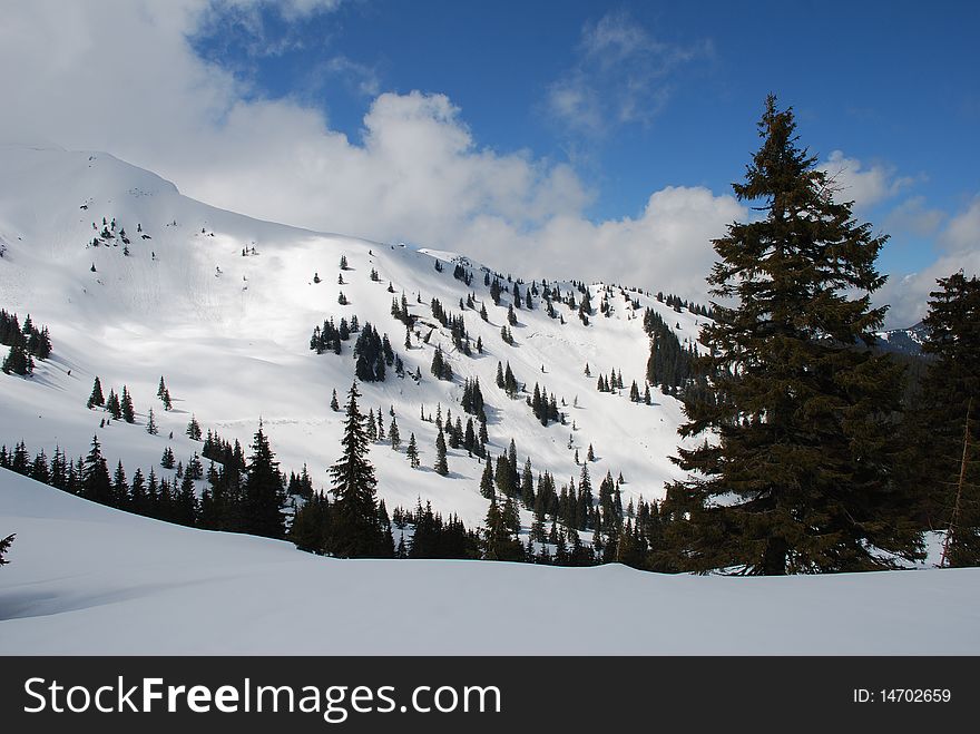 White mountain tops under clouds in a winter landscape with fur-trees. White mountain tops under clouds in a winter landscape with fur-trees.