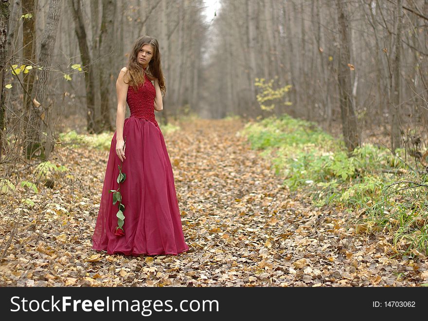 Girl With Rose In The Forest