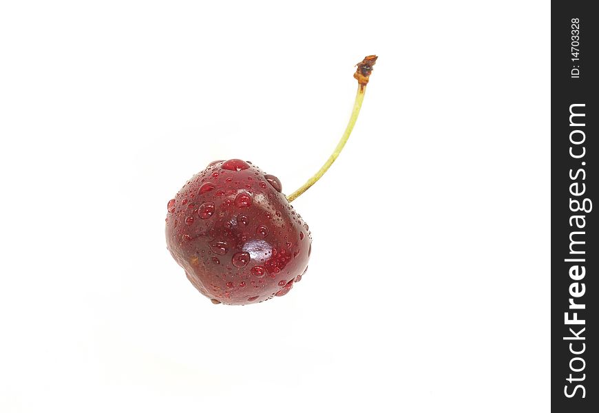 Single dark red cherry isolated. Single dark red cherry isolated
