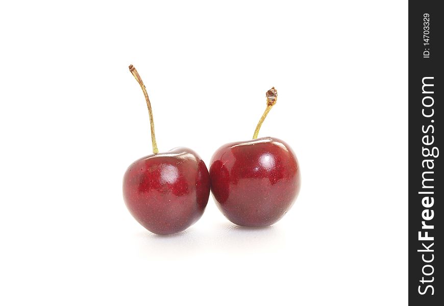 Two dark red cherry in white. Two dark red cherry in white