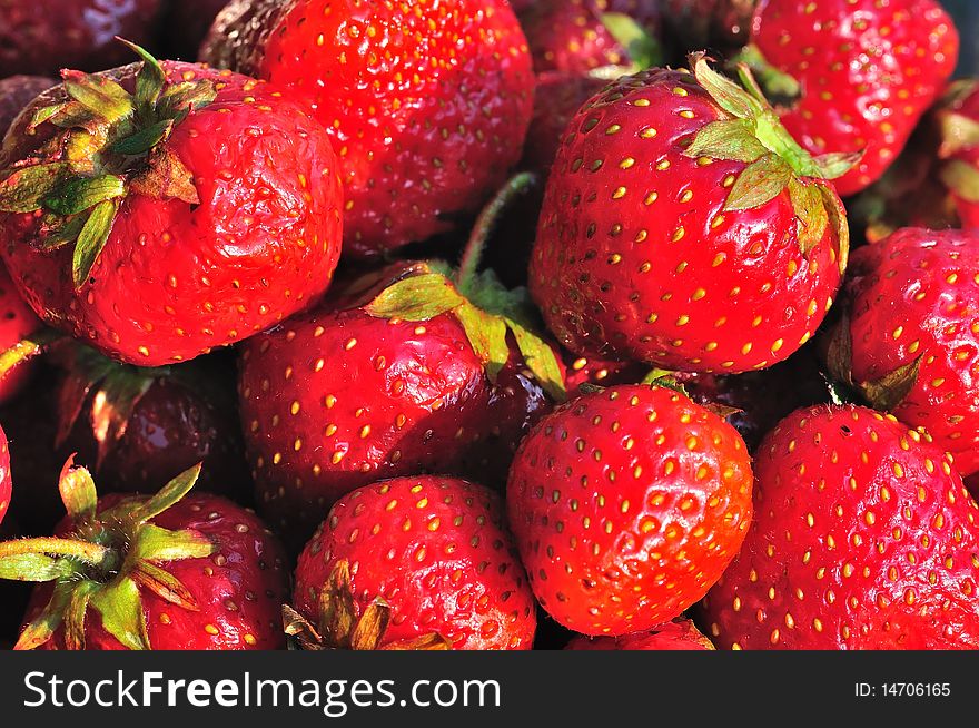 The photo shows a beautiful red juicy strawberries illuminated with sunlight.