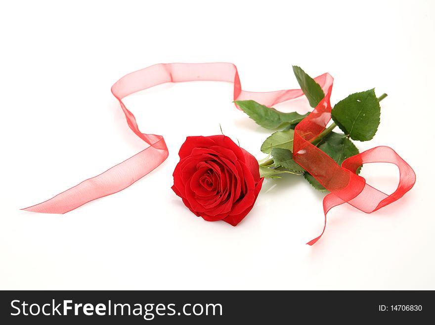 Rose and tape on a white background