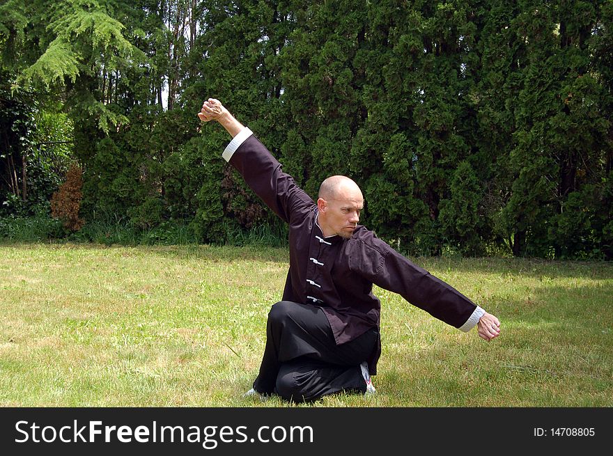 Shaolin Kung Fu form in sapo block position. Shaolin Kung Fu form in sapo block position