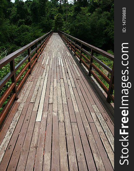 Wooden Plank Board Walk, Thailand