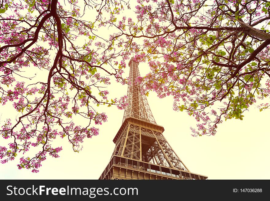 Eiffel tower icon with spring blooming flowers in vintage style. Eiffel tower icon with spring blooming flowers in vintage style