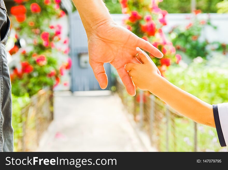 Beautiful hands of a child and a parent in a park in nature