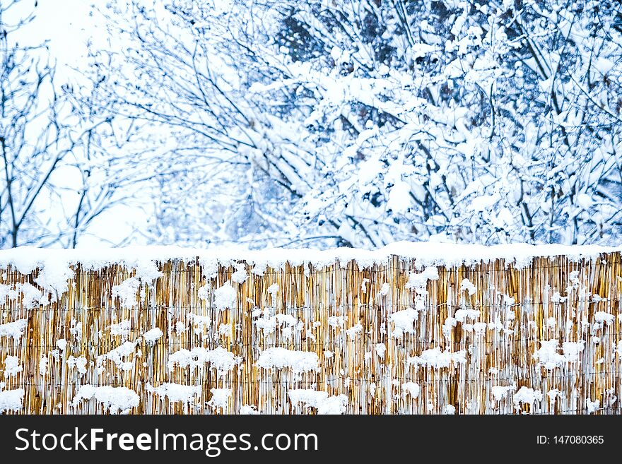 Bold fence in winter on nature in the park background