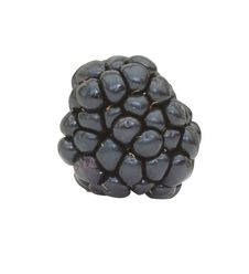 Blackberry Stock Images Blackberry Stock Images
