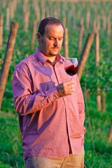 Young Man Enjoying Red Wine Royalty Free Stock Images Young Man Enjoying Red Wine Royalty Free Stock Images