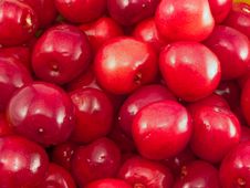 Ripe Cherries Stock Photography Ripe Cherries Stock Photography