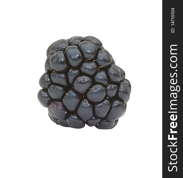 Macro shot of a blackberry isolated on a white background