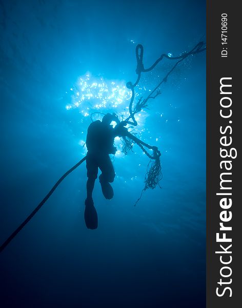 Silhouette of a diver ascending on a rope, backlit on a blue background. Sharm el Sheikh, Red Sea, Egypt. Silhouette of a diver ascending on a rope, backlit on a blue background. Sharm el Sheikh, Red Sea, Egypt.