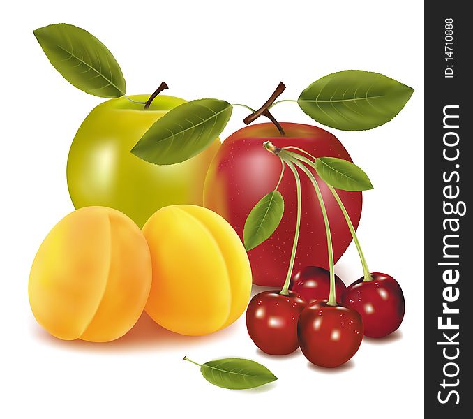 Photo-realistic illustration. Two apples, two apricots and cherries. Photo-realistic illustration. Two apples, two apricots and cherries.