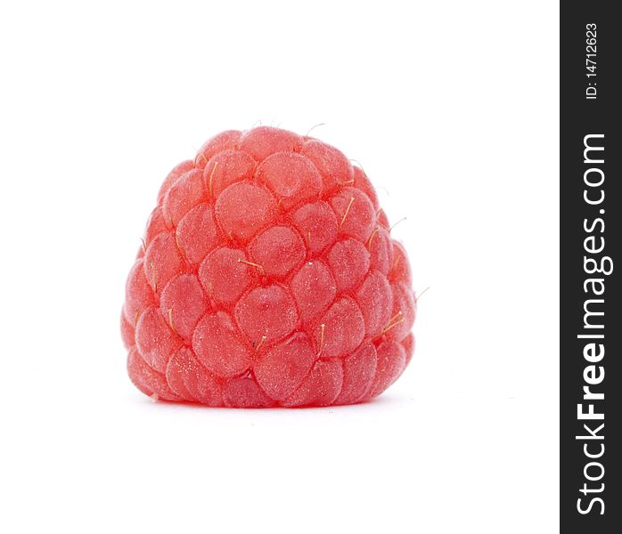 A single raspberry isolted on a white background. A single raspberry isolted on a white background