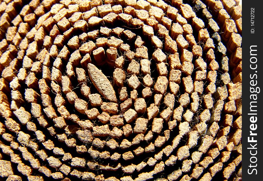 Detail photo texture of wooden roll background