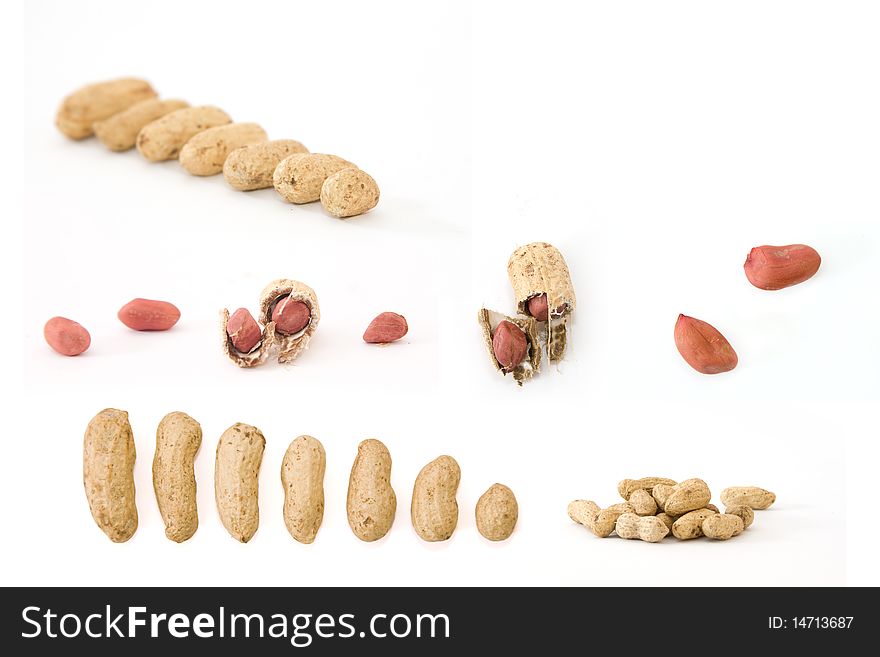 Collection of groundnuts above white