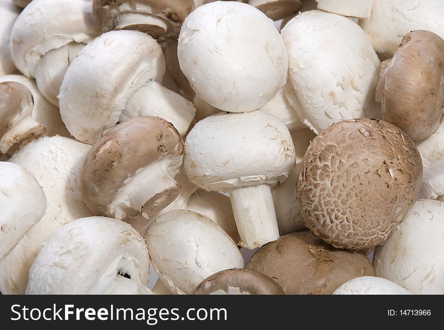 Pile of white and brown mushrooms (background)