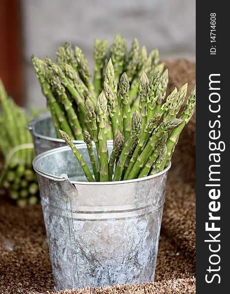 Fresh green asparagus bunch in metal buckets. Fresh green asparagus bunch in metal buckets