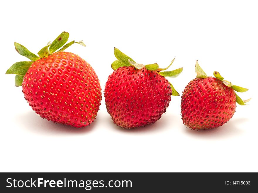 Three watery ripe strawberries different in size isolated on a white background. Three watery ripe strawberries different in size isolated on a white background