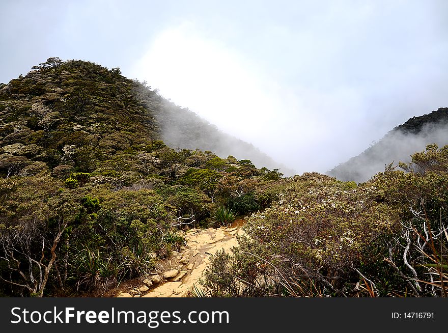 Mount Kota Kinabalu with beautiful view and trees