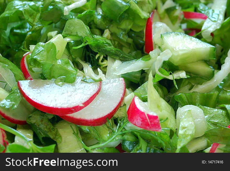 Salad with radish, cabbage and lettuce