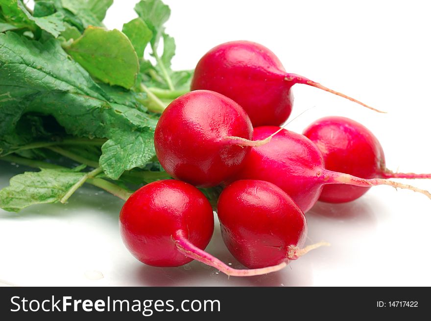 Fresh radishes on a white background