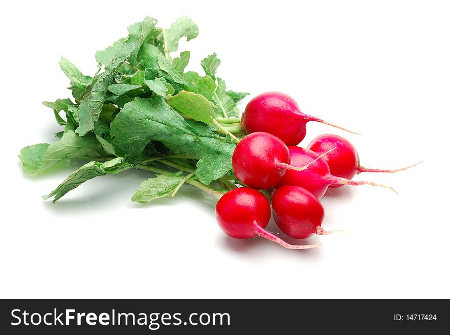 Fresh radishes on a white background