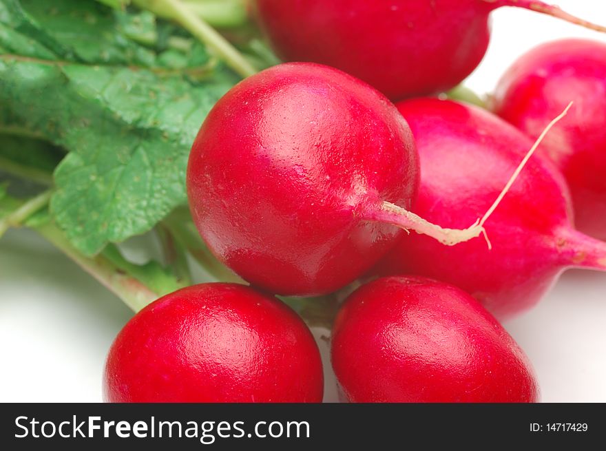 Fresh radishes on a white background