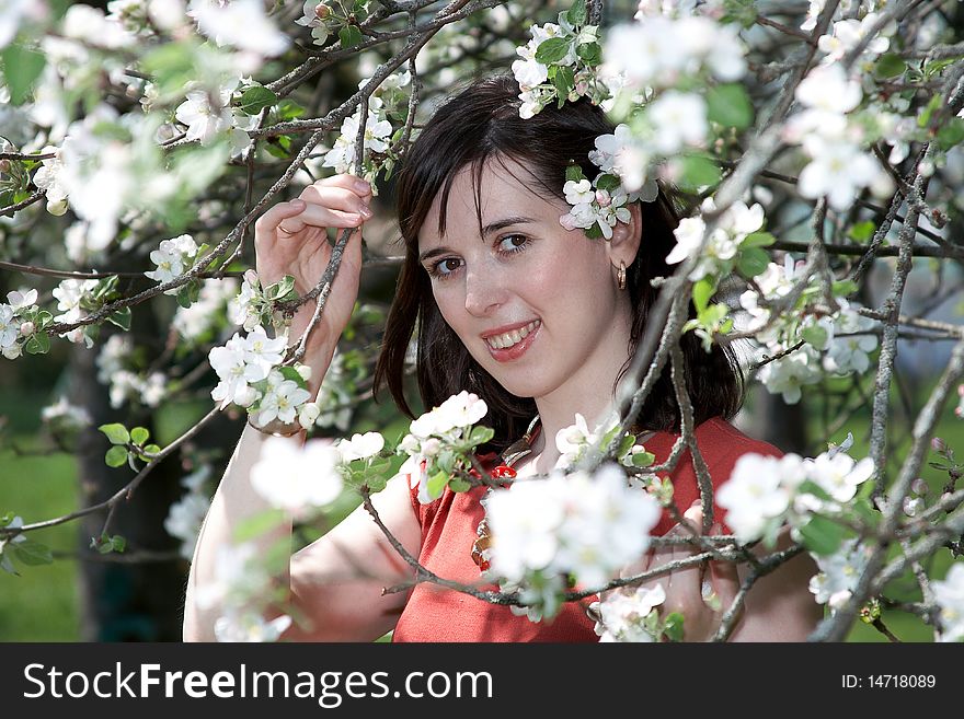 Girl in a red dress smiles peeping from the branches of apple blossoms. Girl in a red dress smiles peeping from the branches of apple blossoms